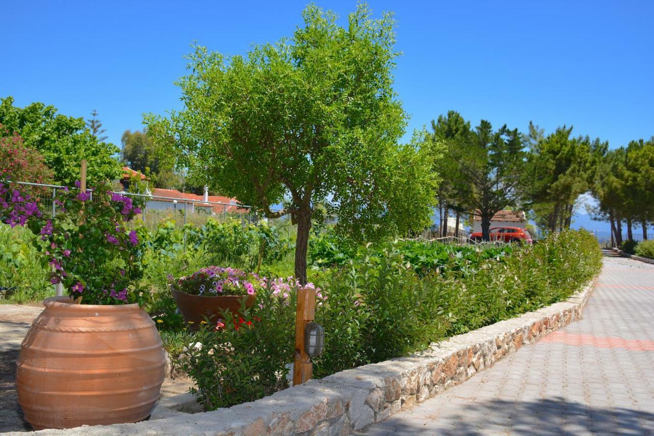 Alexandra Apartments Melíkia Dış mekan fotoğraf