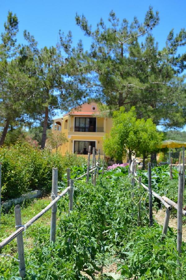 Alexandra Apartments Melíkia Dış mekan fotoğraf